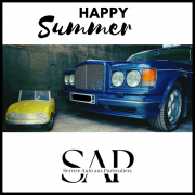 Copie de illustration cat site dimensions 1