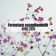 Copie de illustration cat site dimensions 2