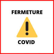 Illustration cat site dimensions 1