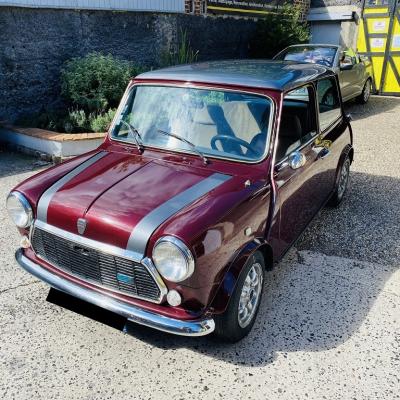 Mini 1000